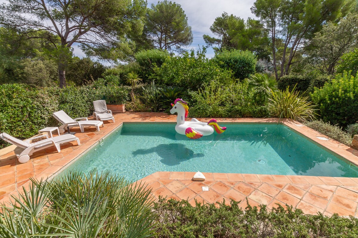 Les Eucalyptus (6p) with pool at French Riviera