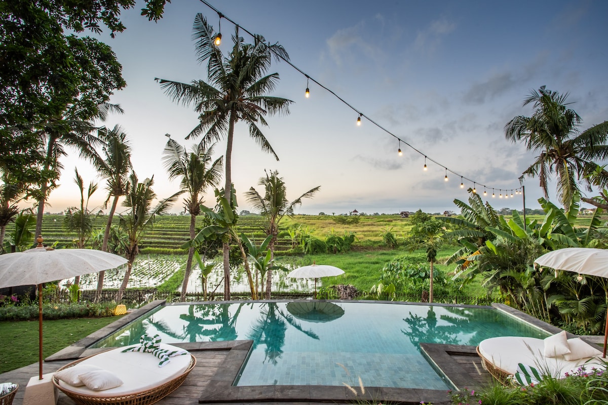 Spectacular 6br Villa in Canggu