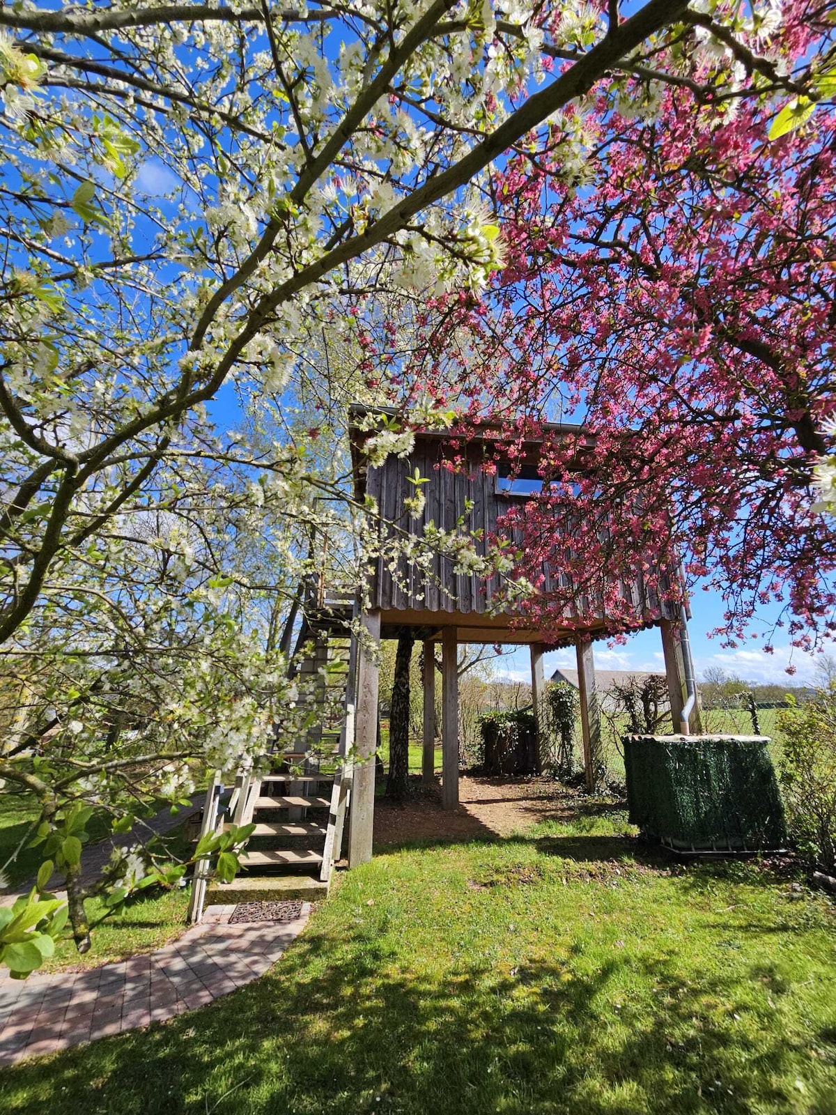 布朗熊小屋（ Brown Bear Hut ）