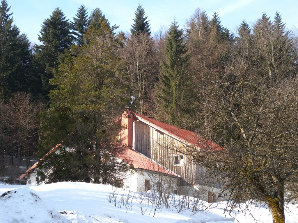 Grillnhäusl -带桑拿房的巴伐利亚森林中的乡村小屋（ Grillnhäusl ）