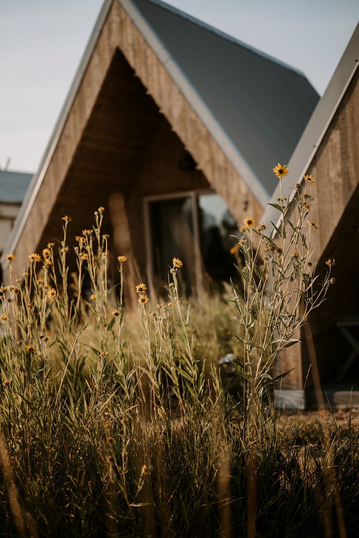 A-Frame 1 @ Tiny Town露营地-精品露营