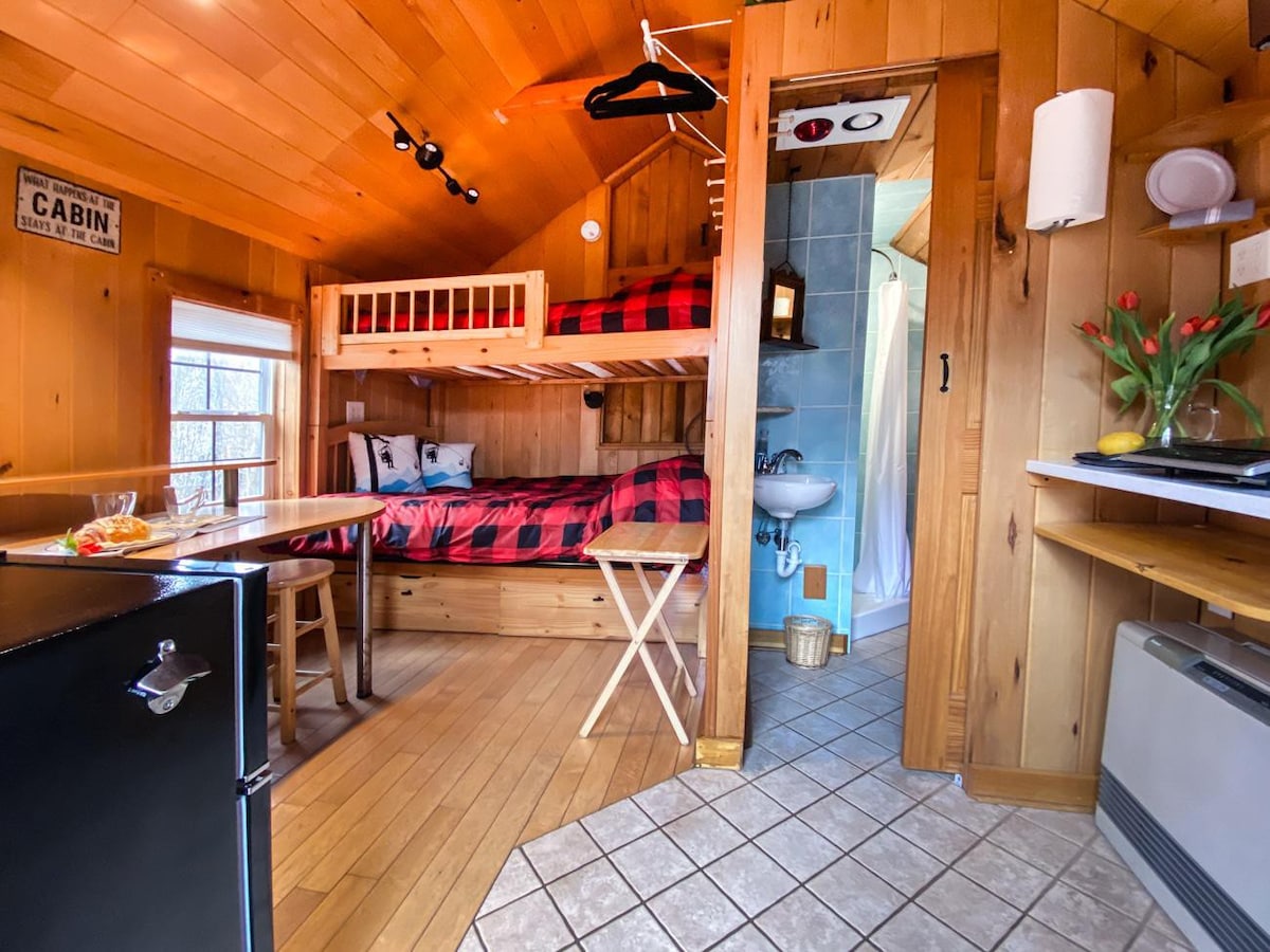 Bunny Hill Cabin -Pets, Shared Hot Tub & Lap Pool