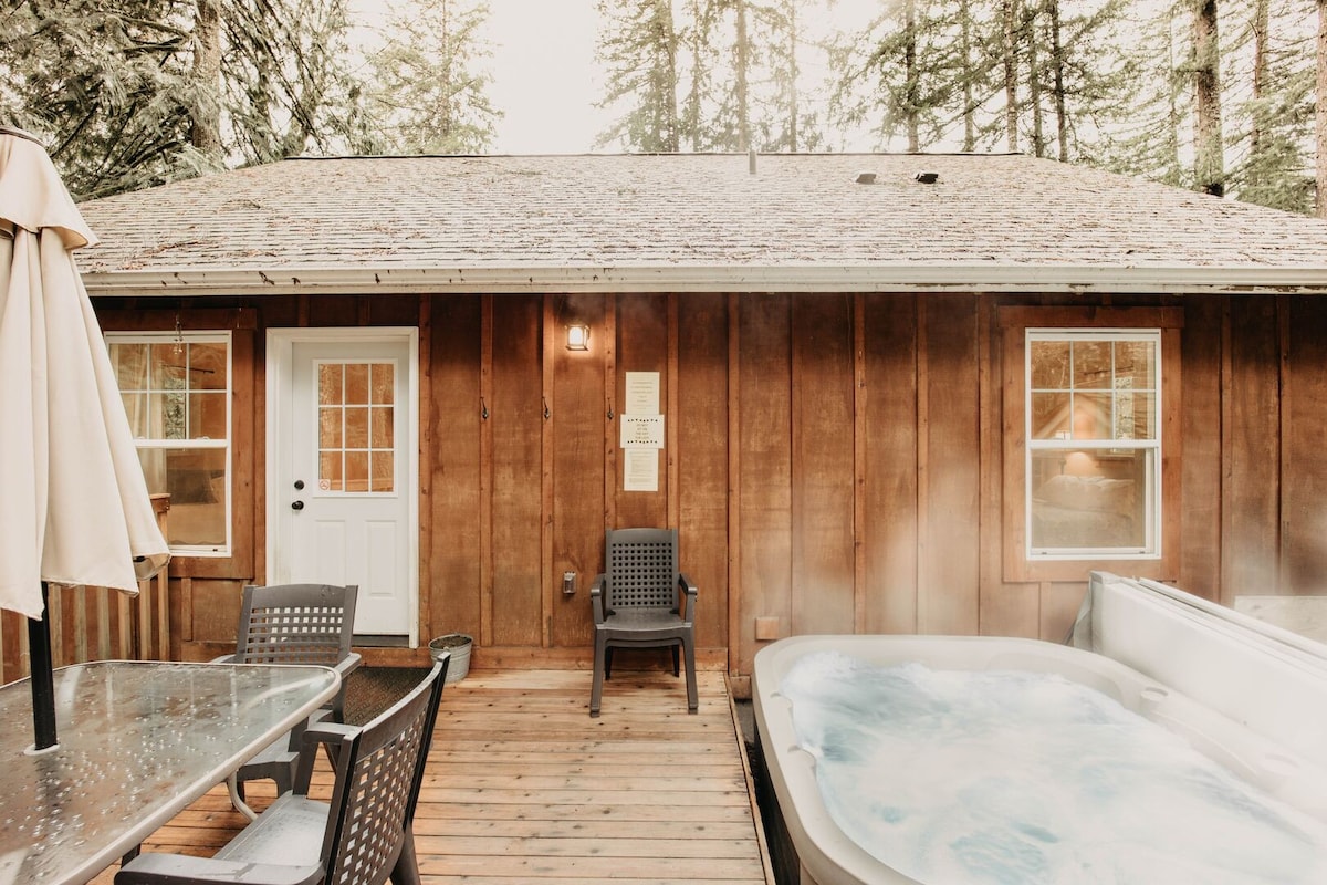 Glacier Springs Cabin # 95 -热水浴缸-无线网络