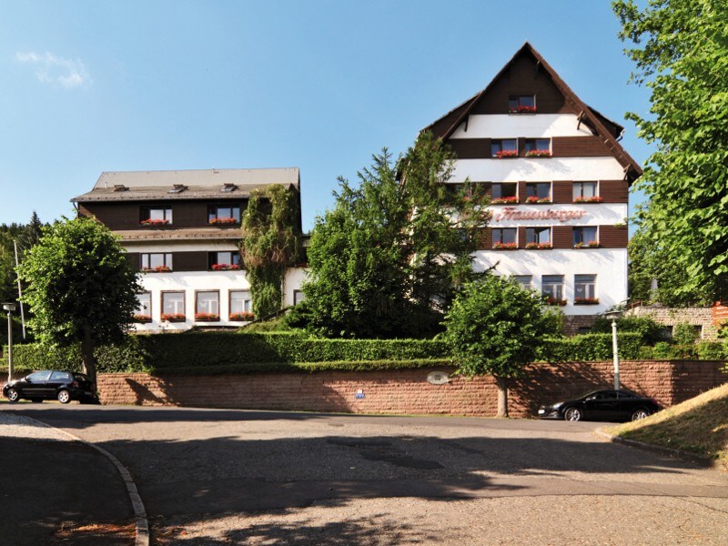 Hotel Frauenberger （ Bad Tabarz ） - LOH05511 ，单人房