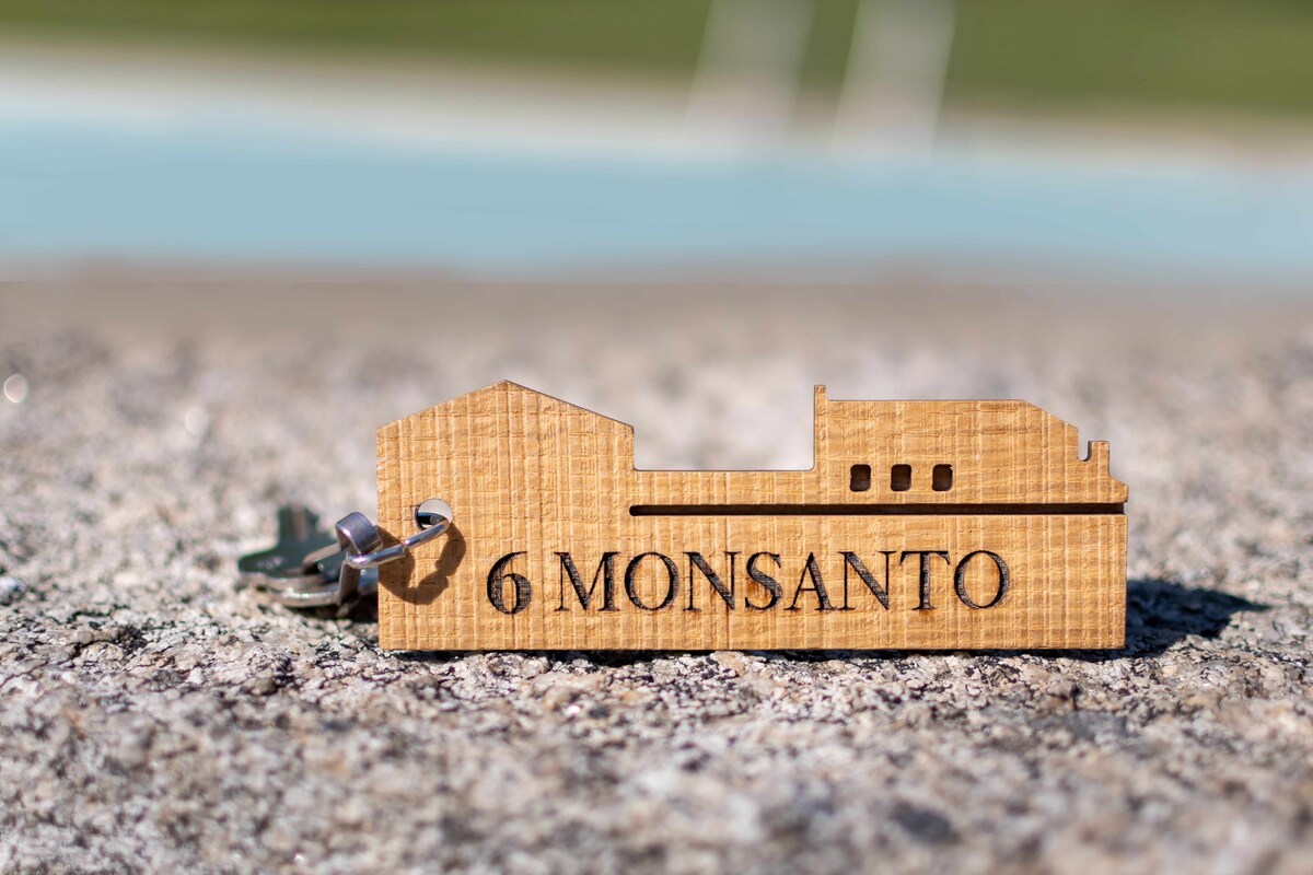 Casa das Jardas - Suite familiar Monsanto