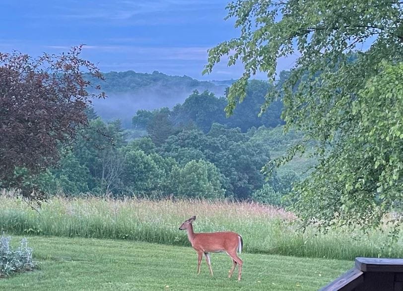 Deer Run - Hocking Hills