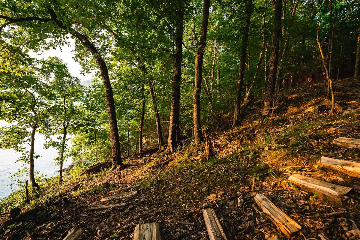 黑莓山海岸(Blackberry Hill Shores)