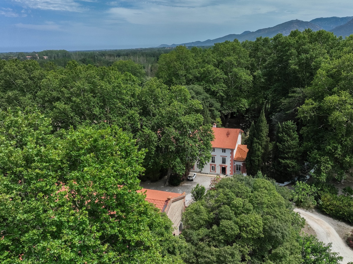 Domaine Castell de Blés - Gîte "Les Albères"