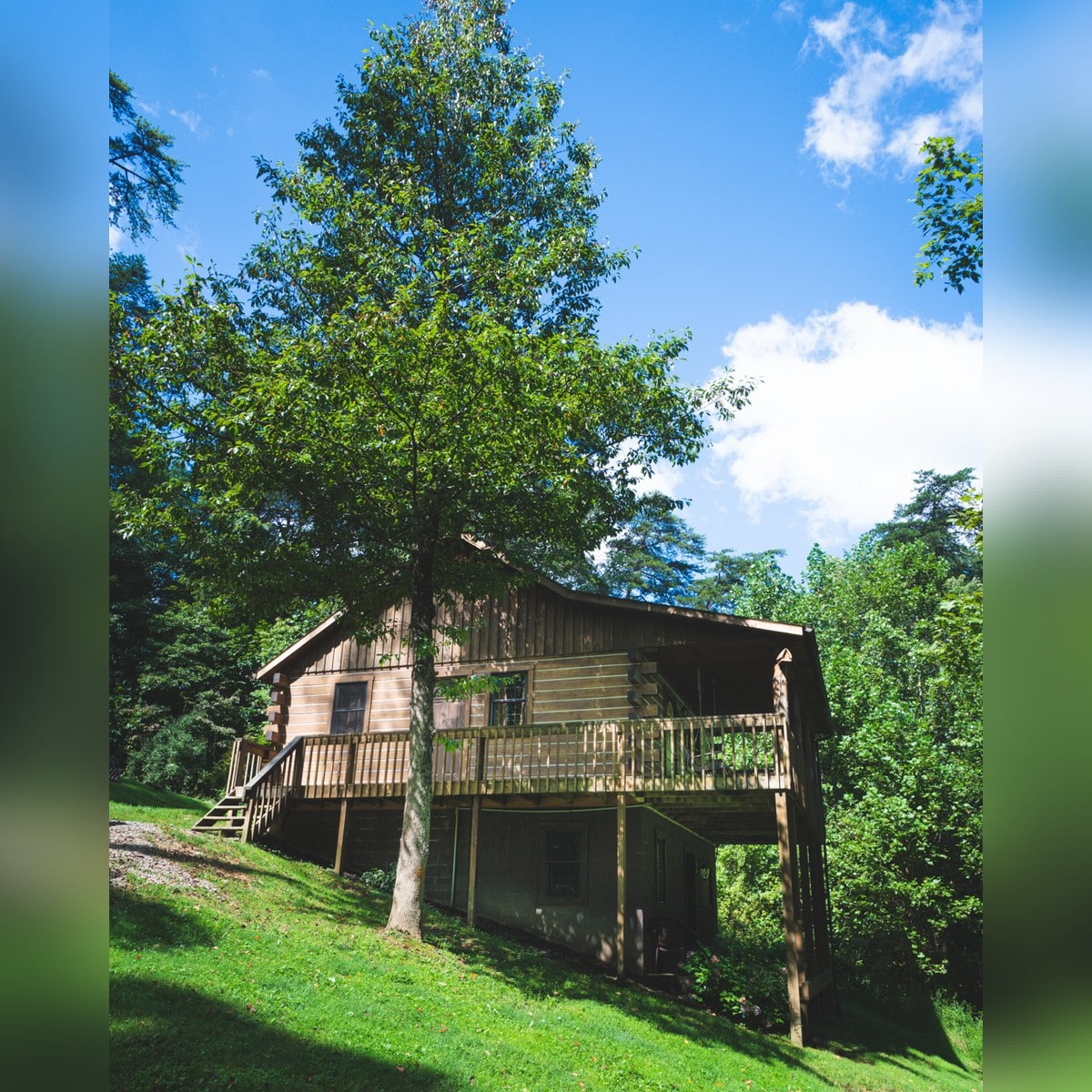 Hemlock - Hocking Hills