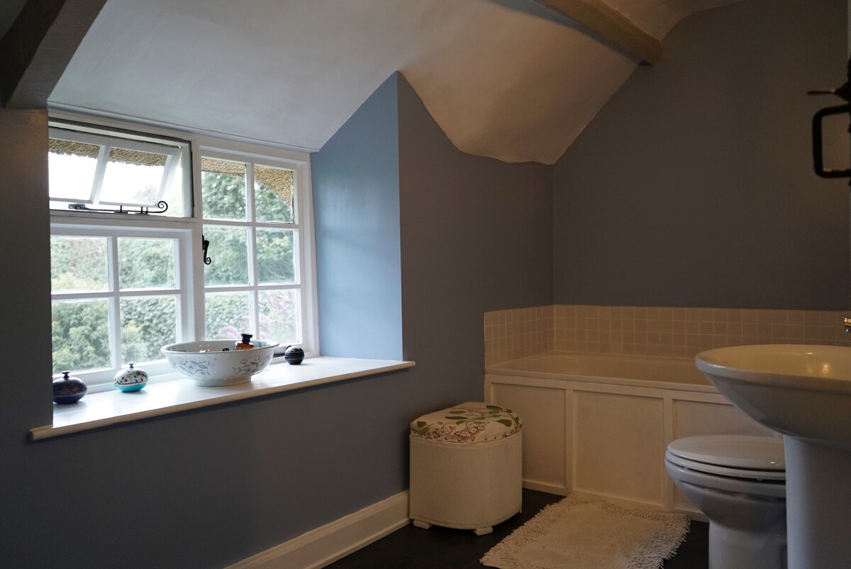 Blue Room - Private bathroom