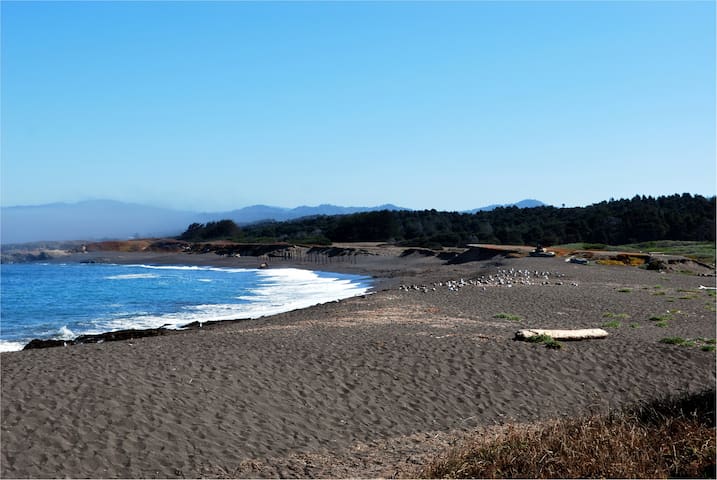 布拉格堡(Fort Bragg)的民宿