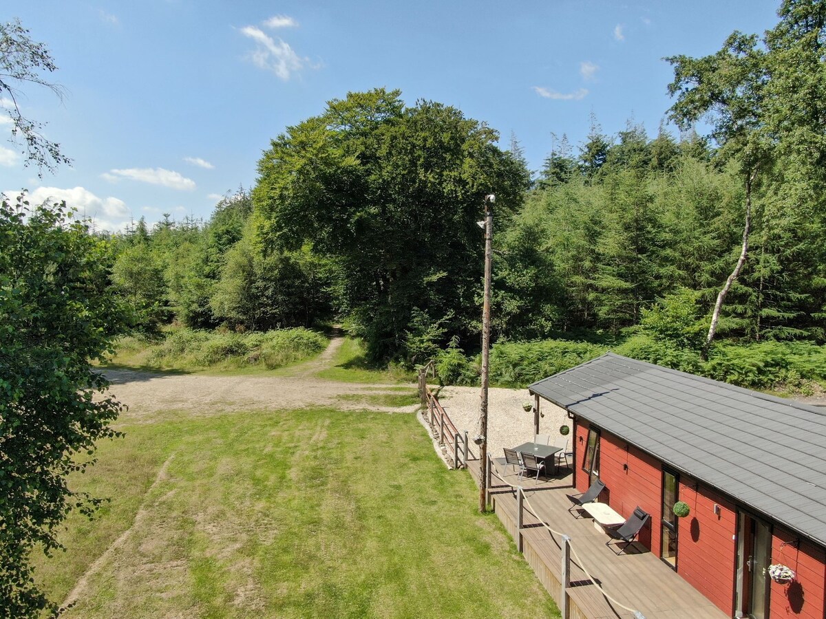 Haldon Forest Lodge, Exeter