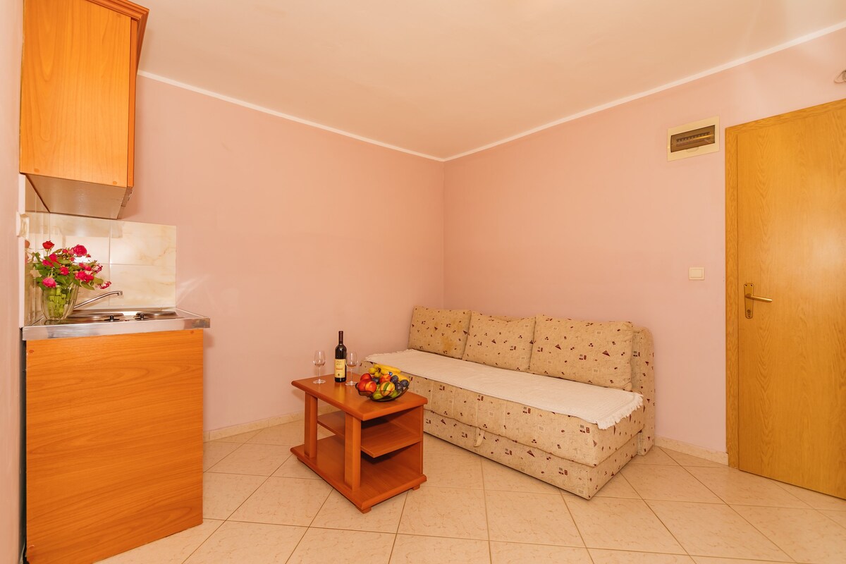 Guest House Edita - Standard Apartment 1