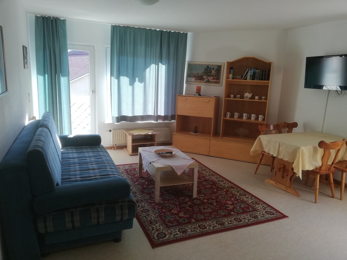 Schönau im Schwarzwald公寓，可供4位房客入住，面积45平方米（ 133073 ）