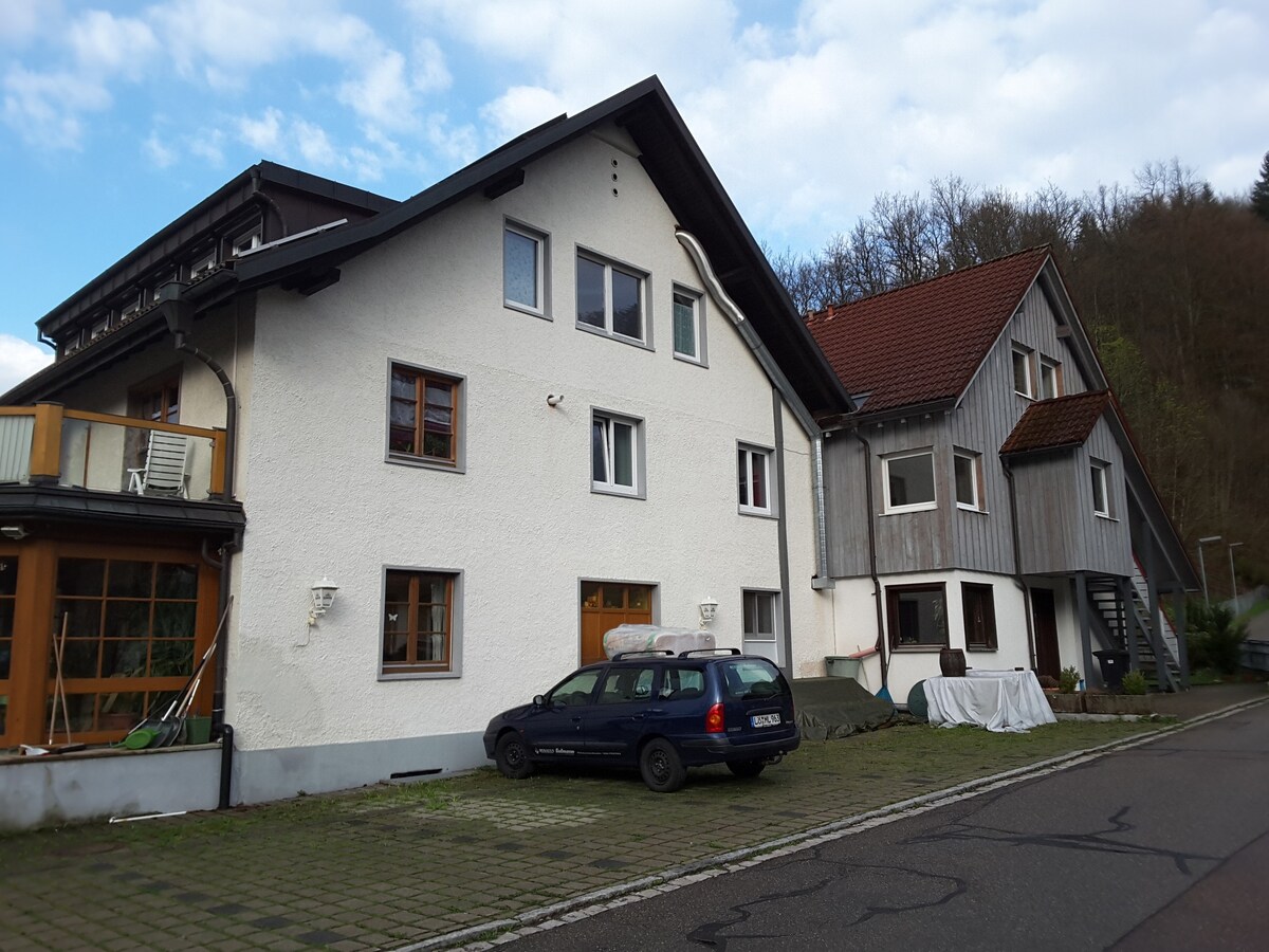 Schönau im Schwarzwald公寓，可供4位房客入住，面积45平方米（ 133073 ）