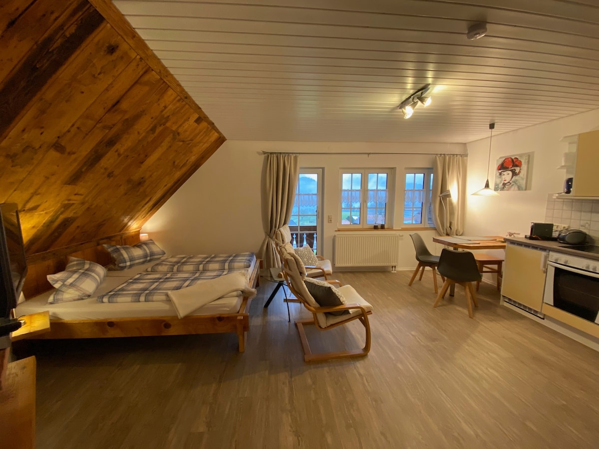 Ferienwohnung/App. für 2 Gäste mit 28m² in Fröhnd (132345)