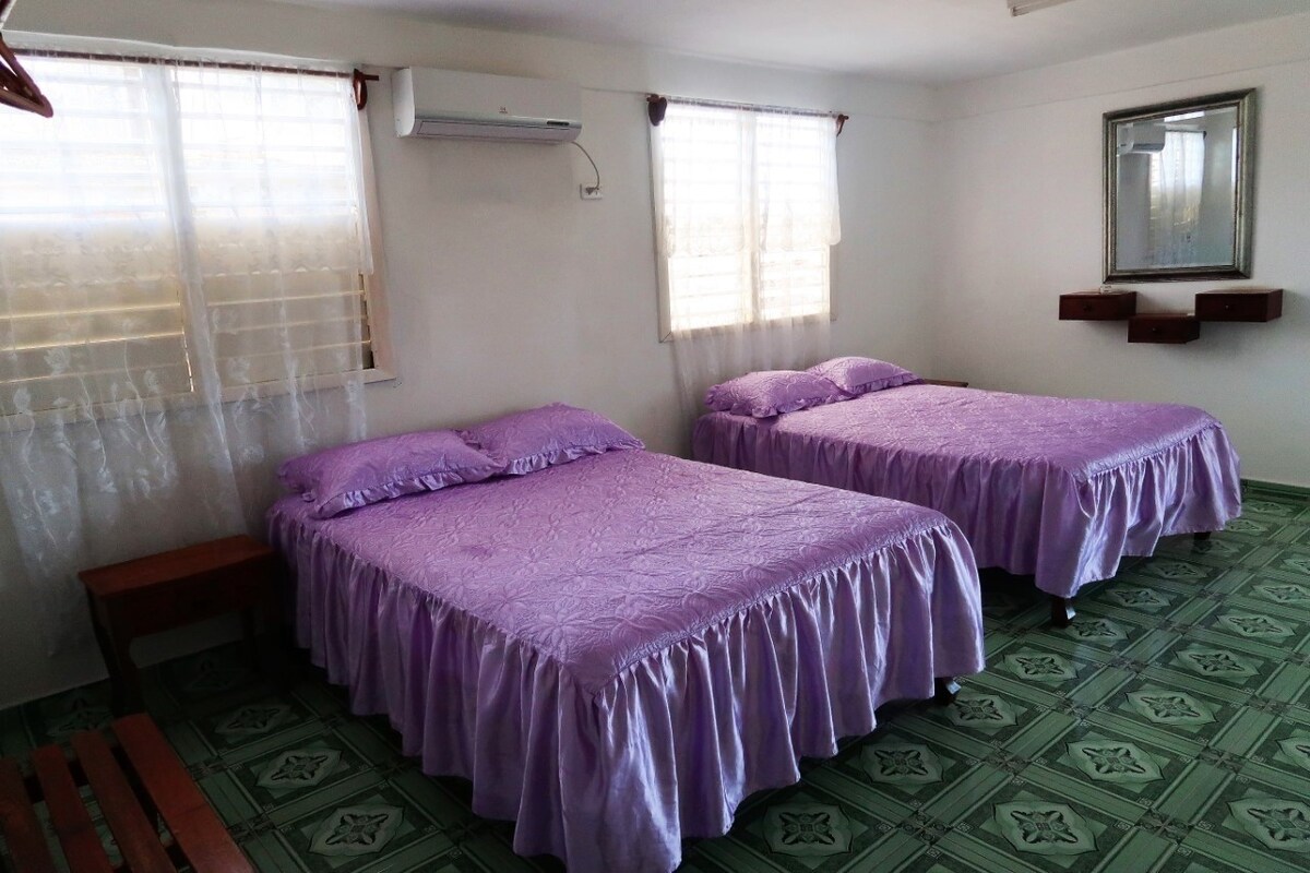 巴拉科阿（ Baracoa ）公寓，可供4位房客入住，面积22平方米（ 117636 ）
