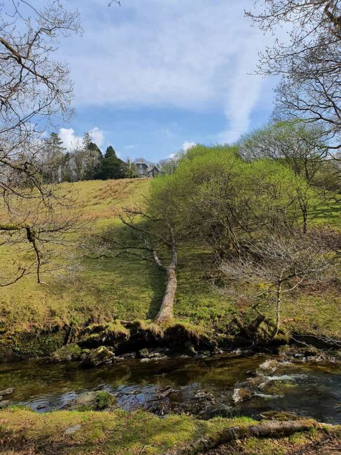 Cae 'r Blaidd Country House