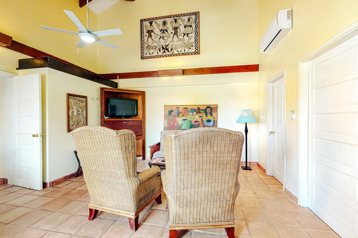 Comfortable 2BR Oceanfront Placencia Peninsula 2n