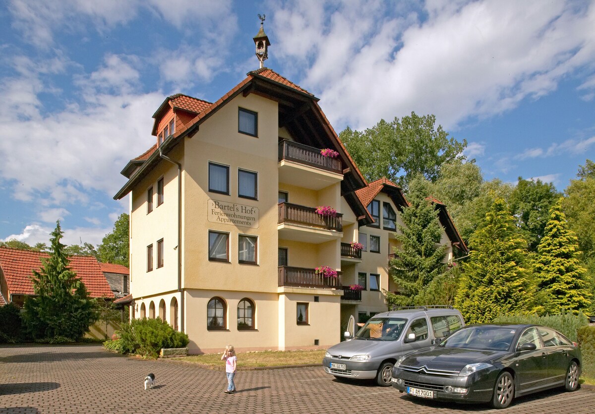 位于Bad Soden-Salmünster的公寓，可供4位房客入住，面积为54平方米（ 136915 ）