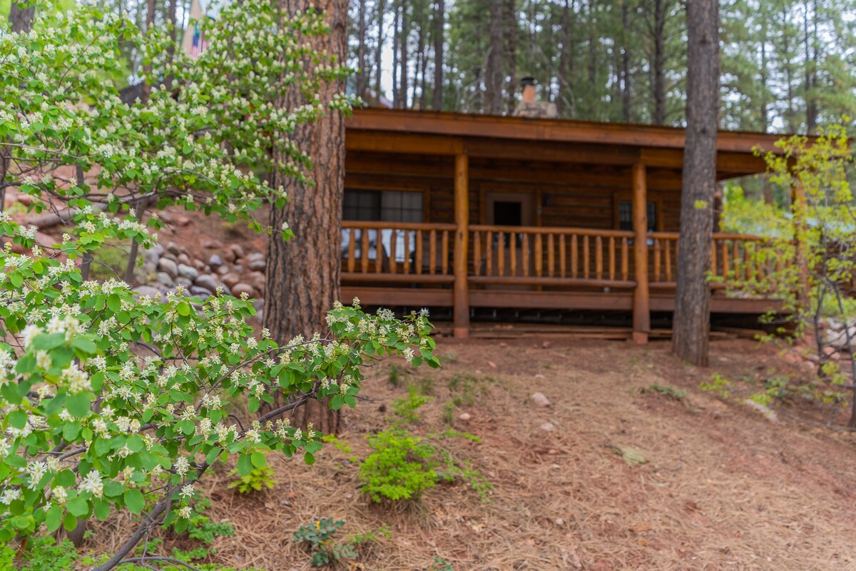 Pine River Lodge - Lincoln Log