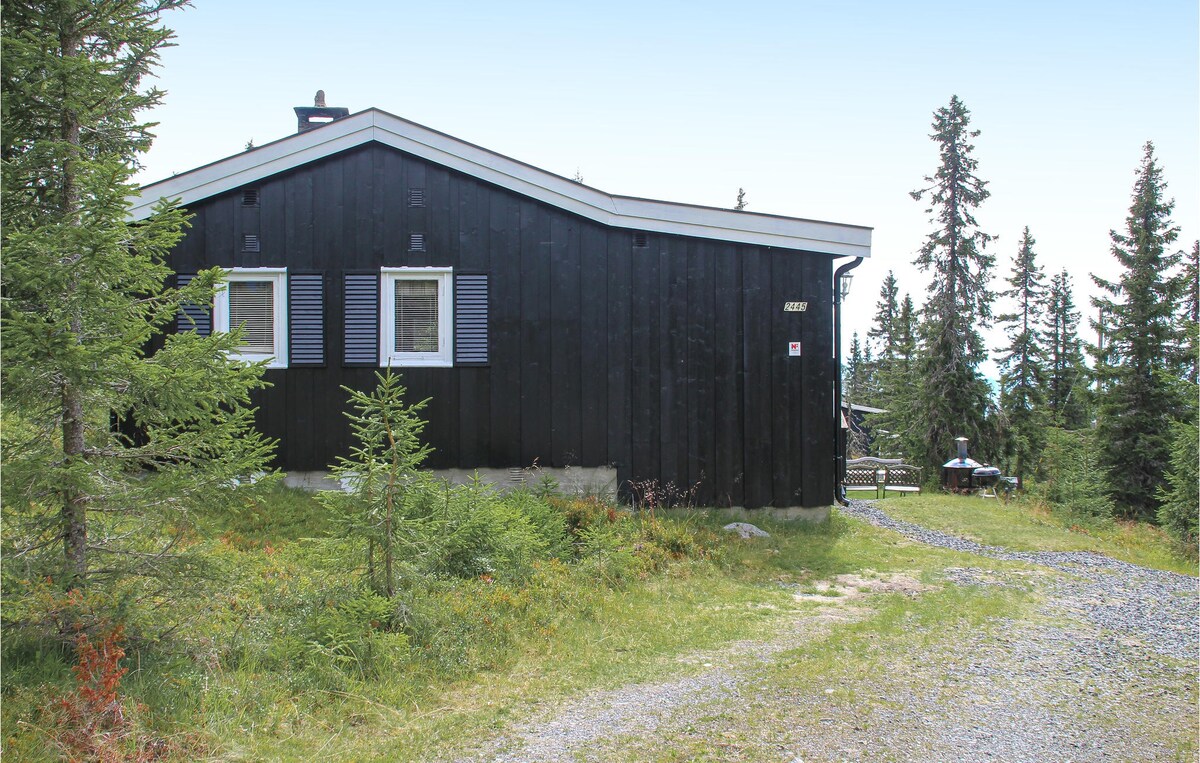 Sjusjøen的漂亮房源，设有3间卧室和无线网络
