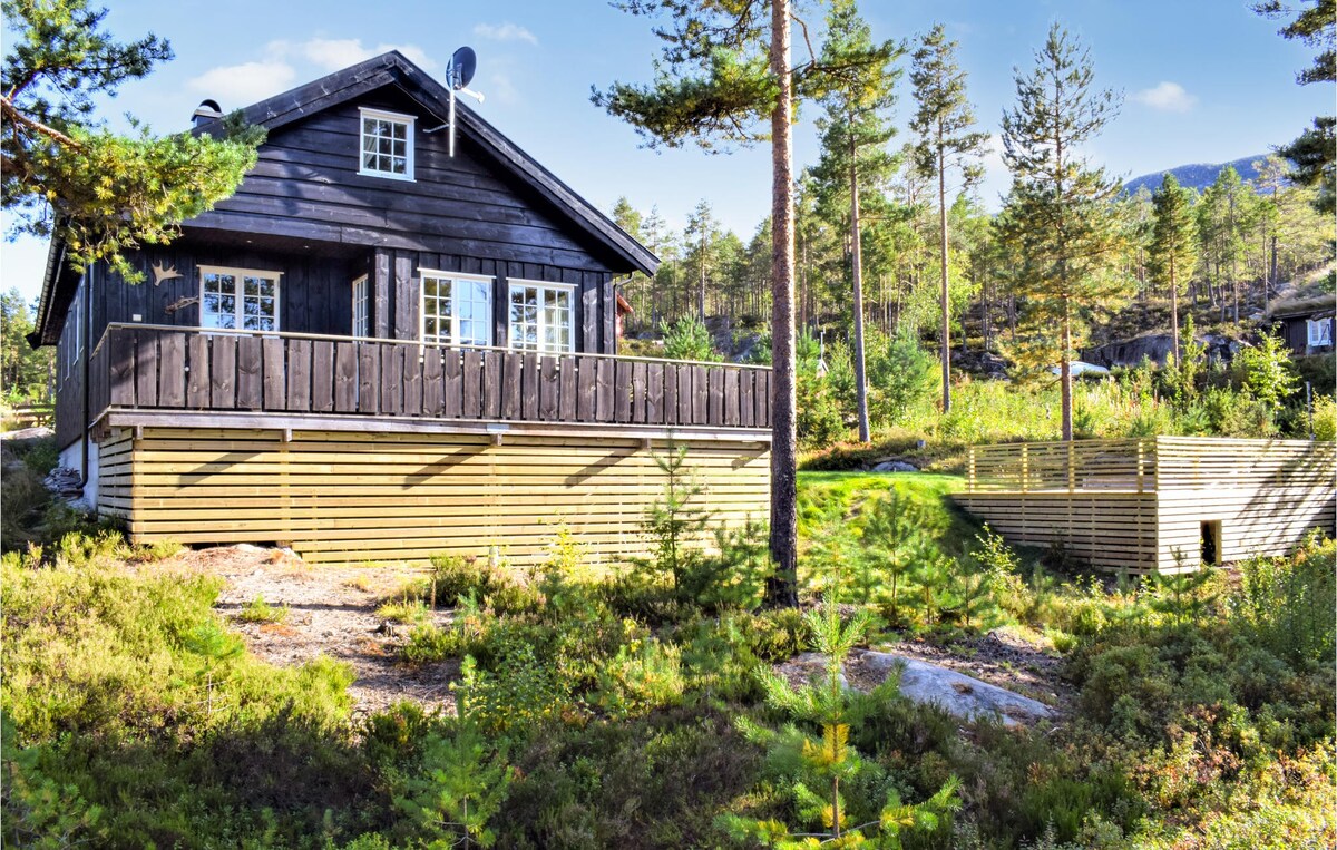 Lovely home in Vrådal with jacuzzi