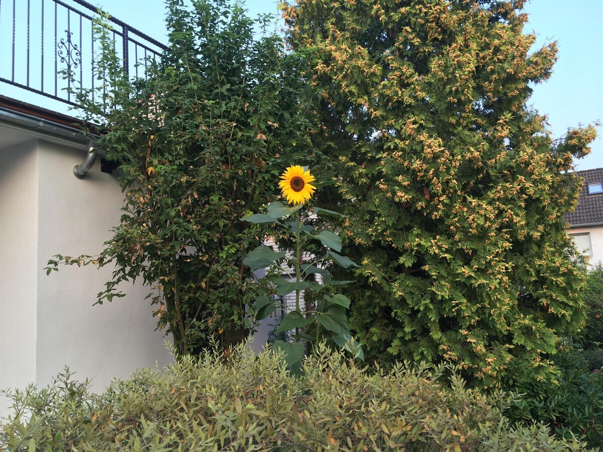 Ferienhaus mit Terrasse und Balkon (Ferienhaus Sonnenblume)