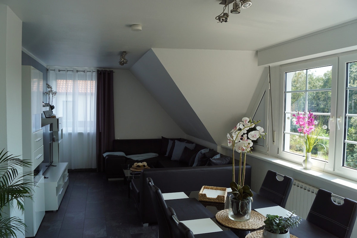Osnabrück可容纳3位房客的公寓，面积为54平方米（ 149593 ）