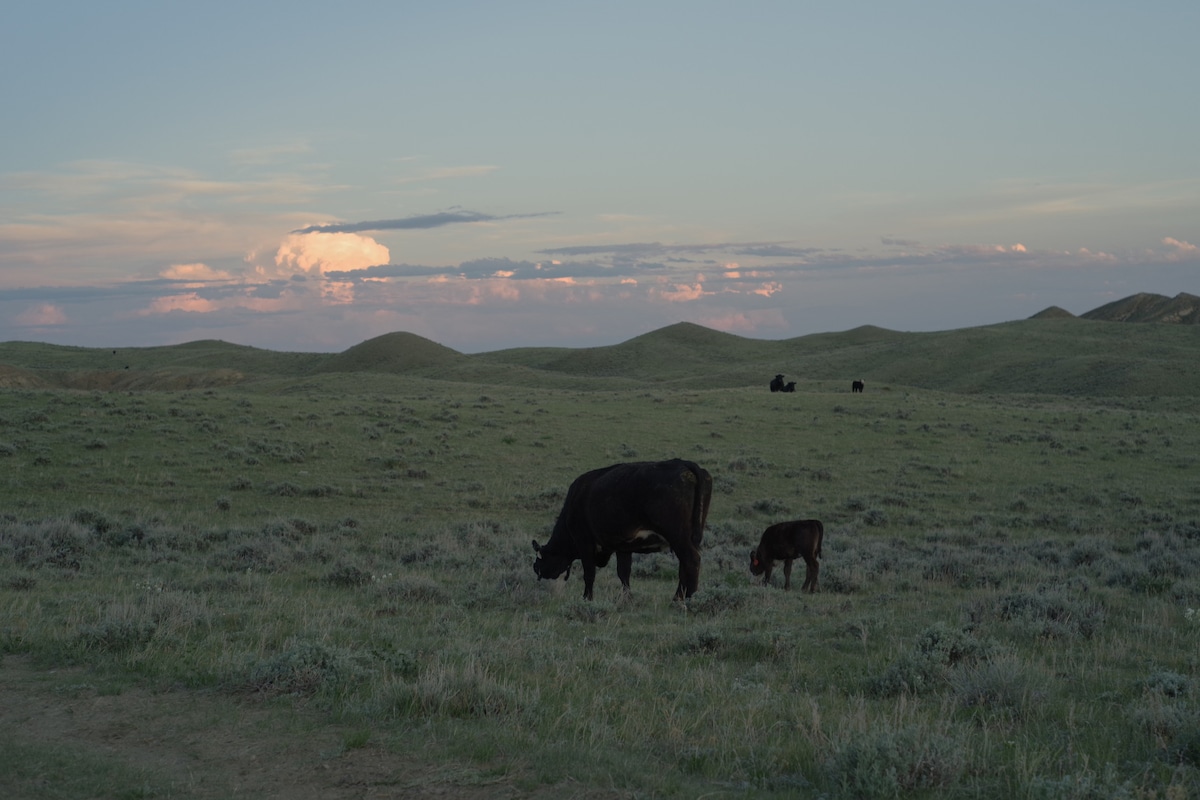 TA Guest Ranch - Hans Kleiber