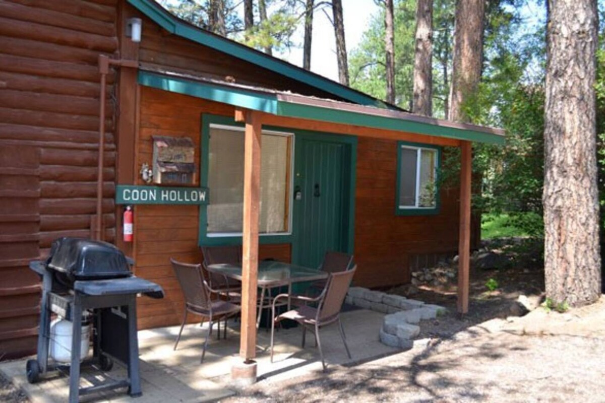 6 Person Cabin near Mount Rushmore