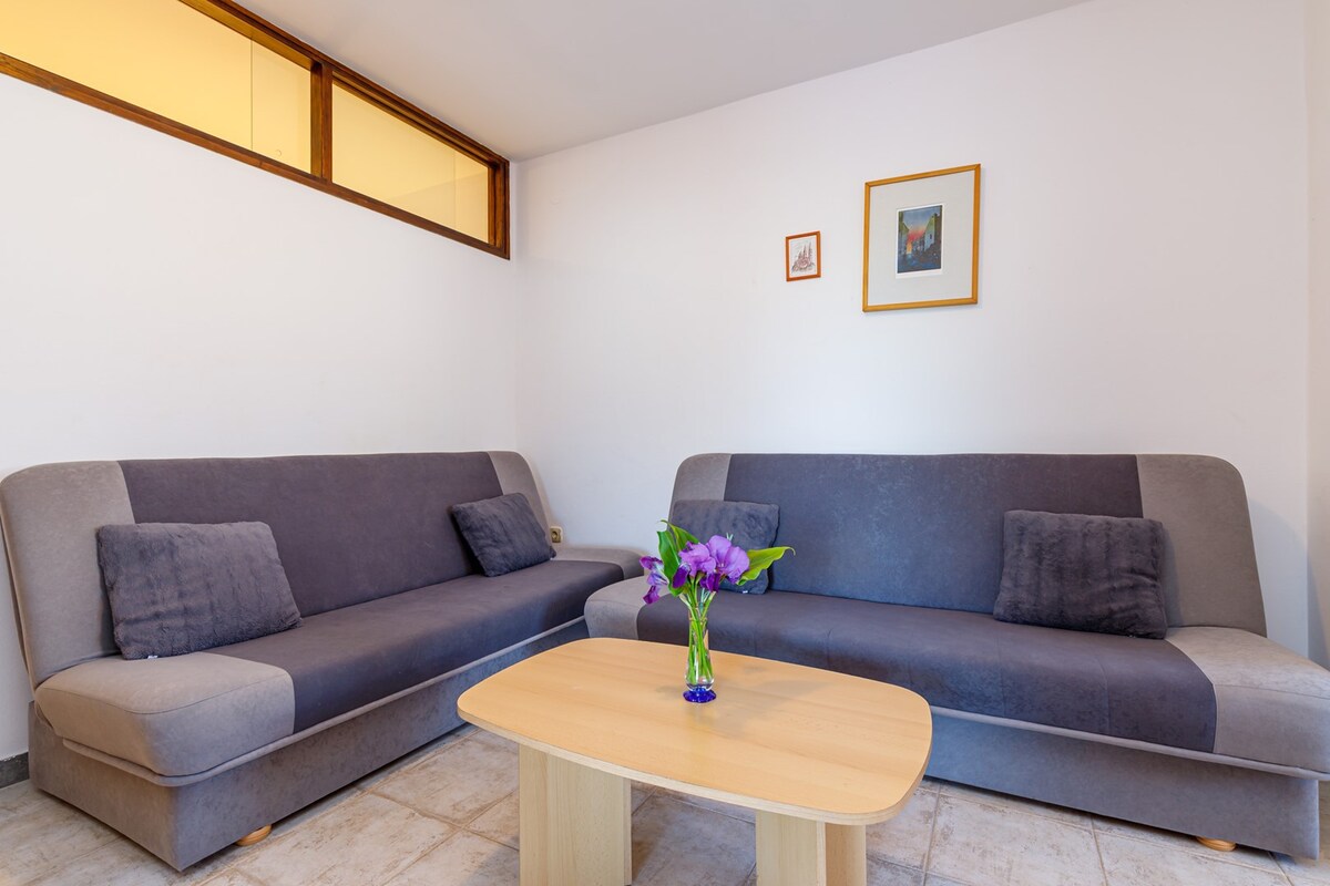 Apartments Cetina - Two Bedrooms Apartment Cetina