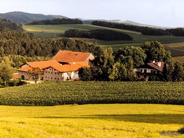 Doppelzimmer (Hof) (Gidibauer Hof, Naturhotel)