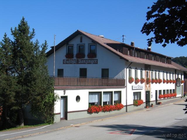全景乡村旅馆Ranzinger （ Schöfweg ） ，单人房，可俯瞰阳光明媚的森林，可观赏山景