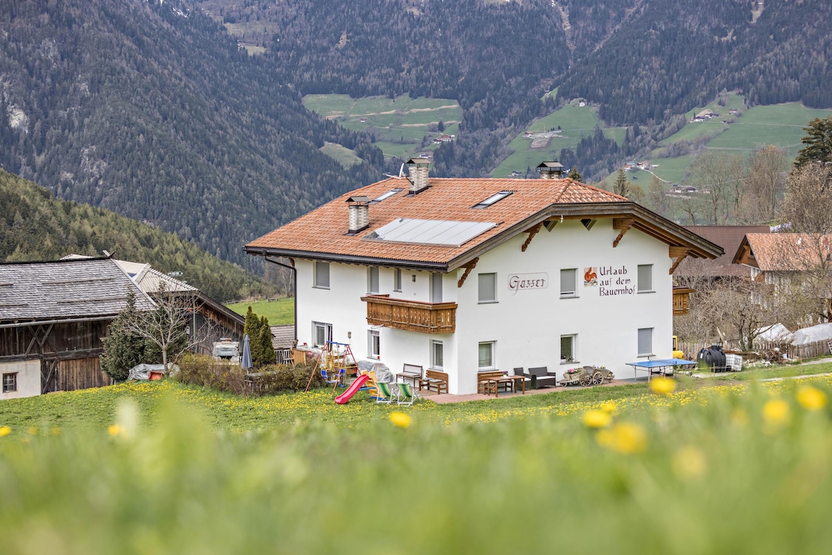 Ferienwohnung Zirme Gasser