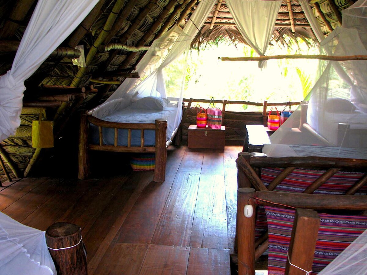 Jungle Loft Dorm Bed 1 HOTELITO PERDIDO