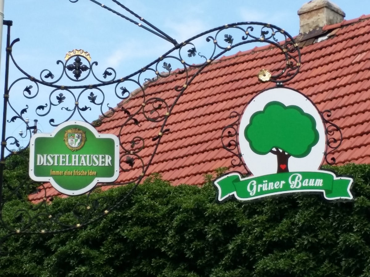 Hotel-Landgasthof Grüner Baum - Dittigheim （ Tauberbischofsheim ） ，单人房