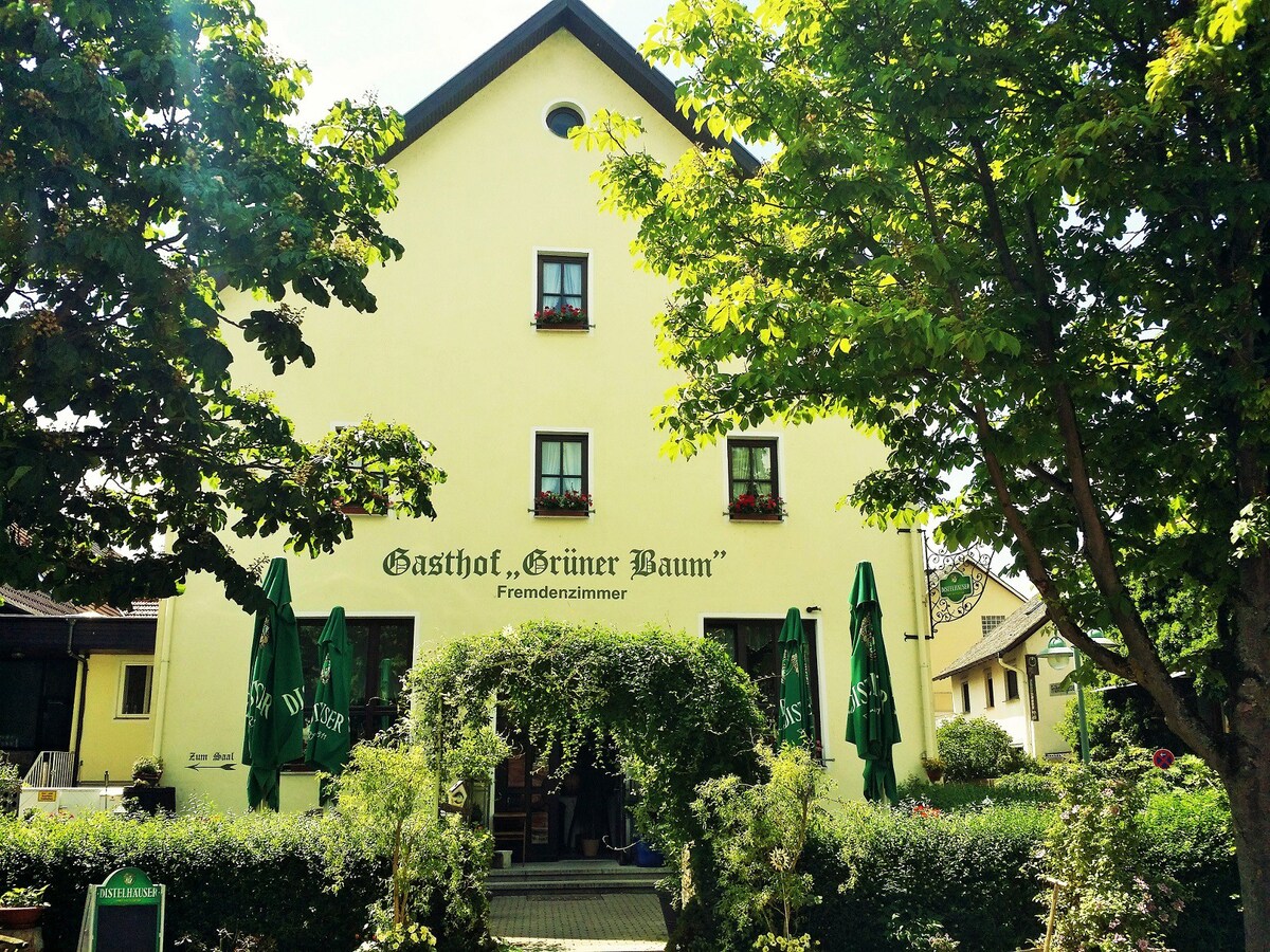 Hotel-Landgasthof Grüner Baum - Dittigheim （ Tauberbischofsheim ） ，单人房