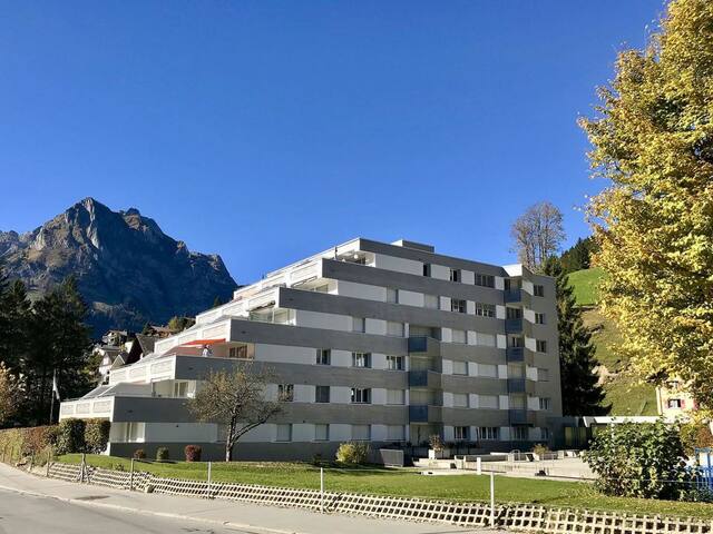 恩格尔贝格(Engelberg)的民宿