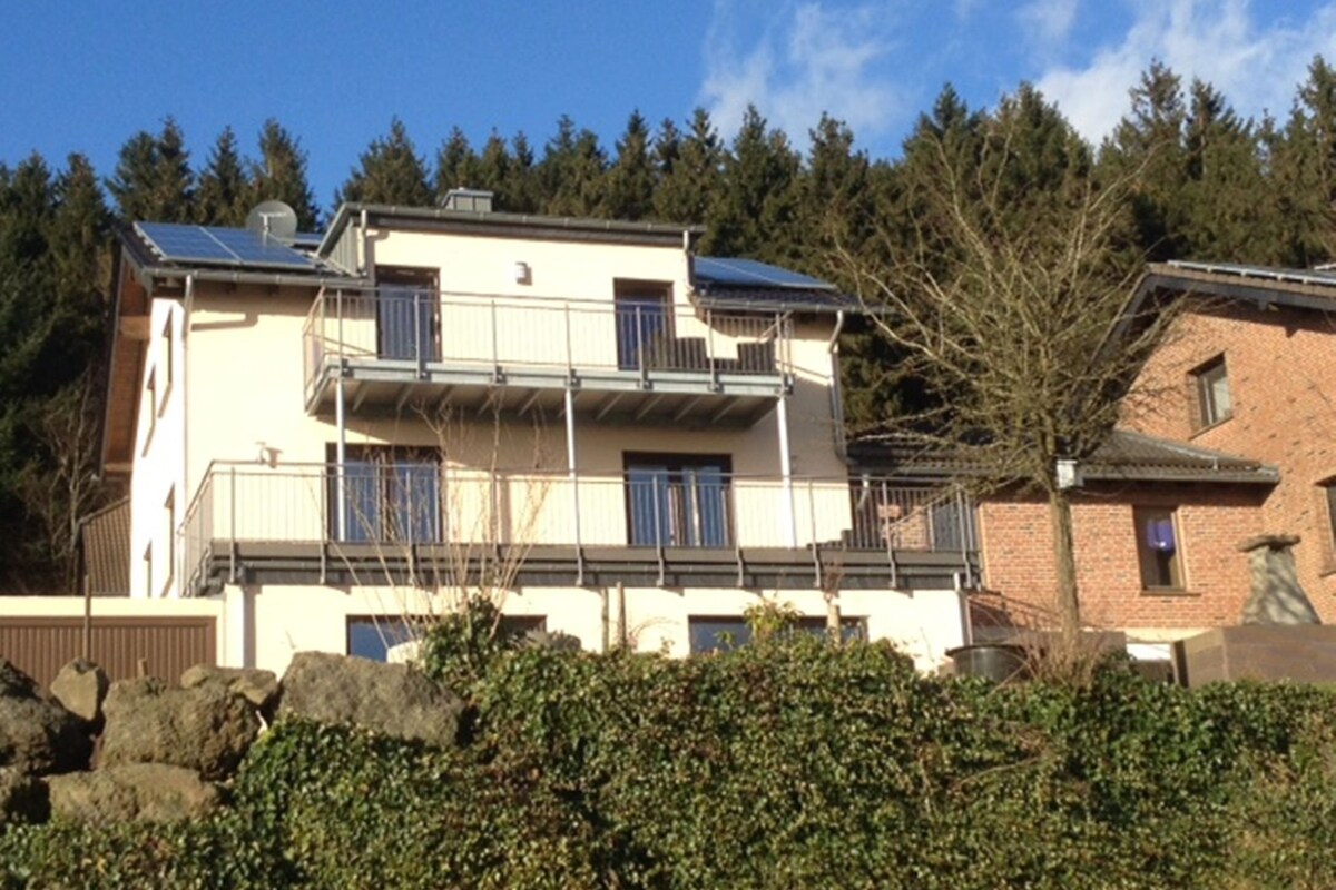 Modern Apartment in Weinsheim with Terrace