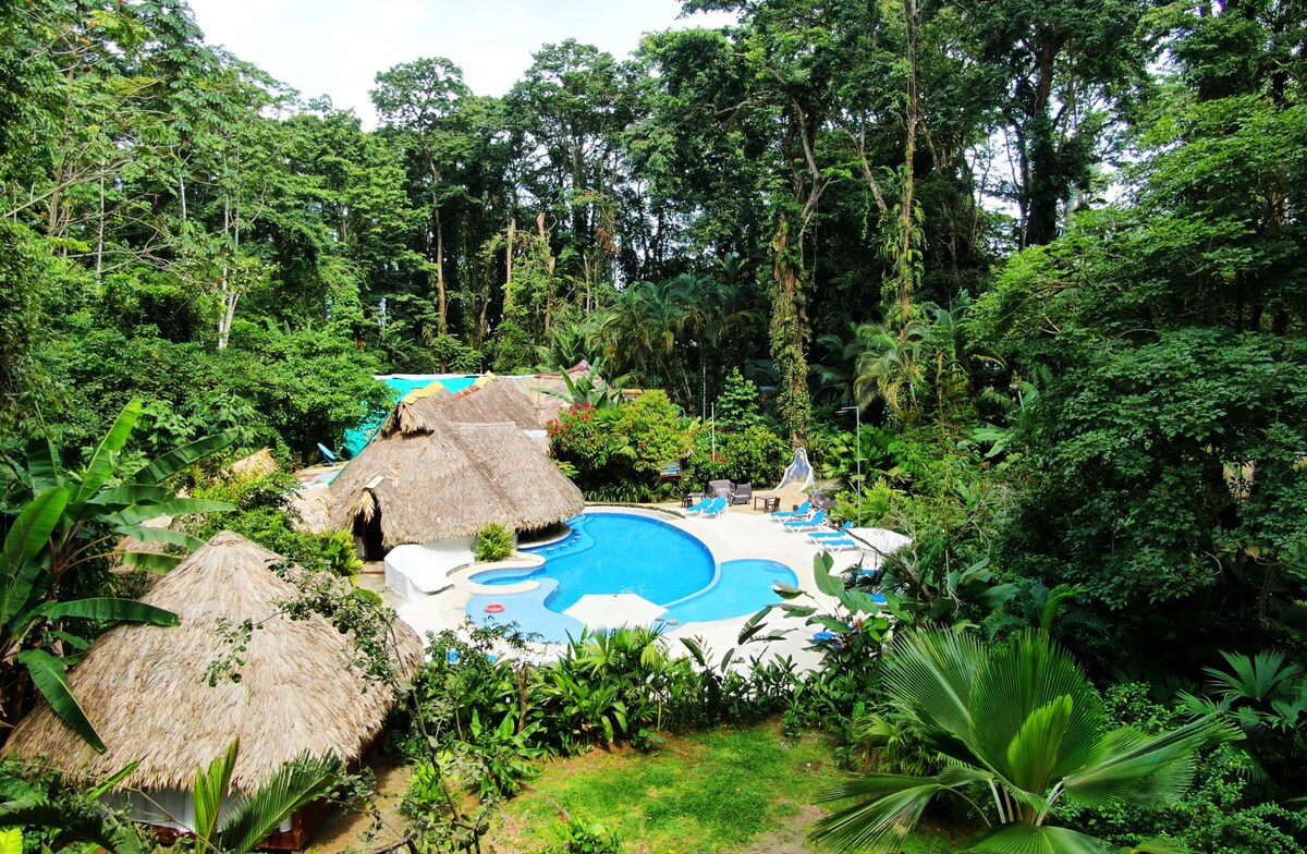 Jungle house at Cariblue beach and jungle resort