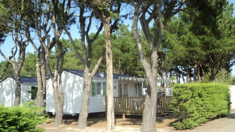 Mobile Home Passion 3 Rooms 4/6 People + TV