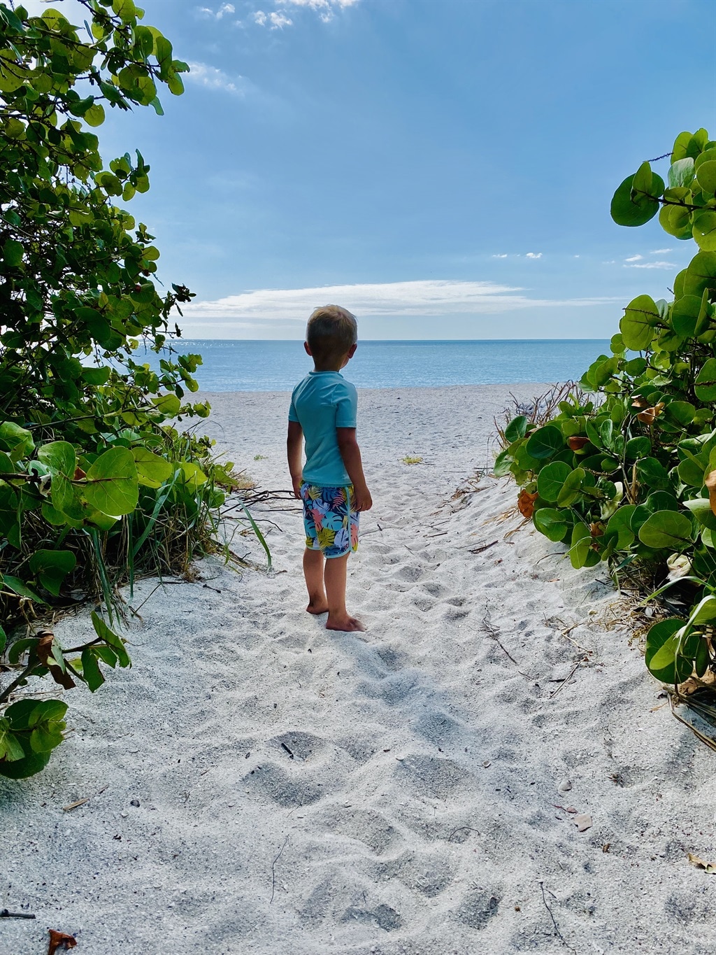 Tropical Family Oasis: Green Tortuga