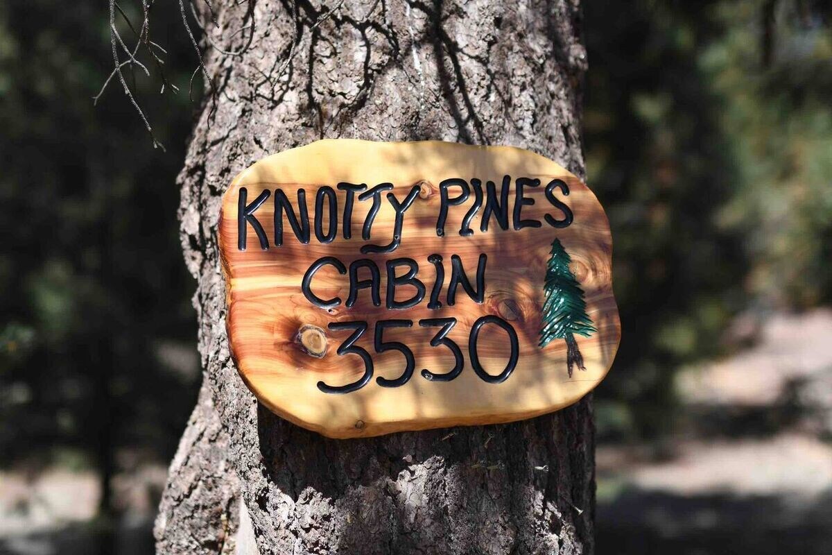 Camp Knotty Pines | Adventure seekers welcome