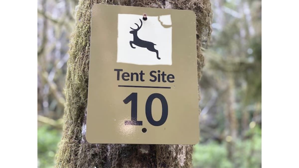 Primitive Tent Site in Enchanted Rain Forest - Sit