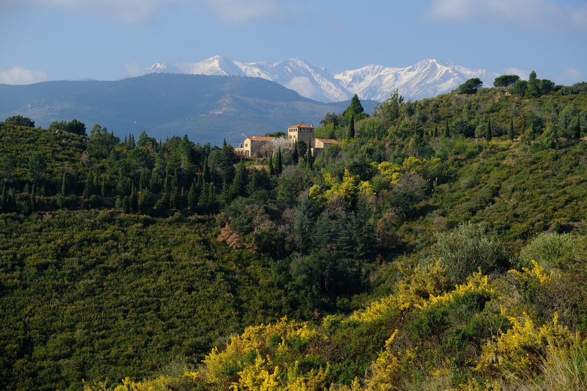 Castelnou, The Garden Apartment