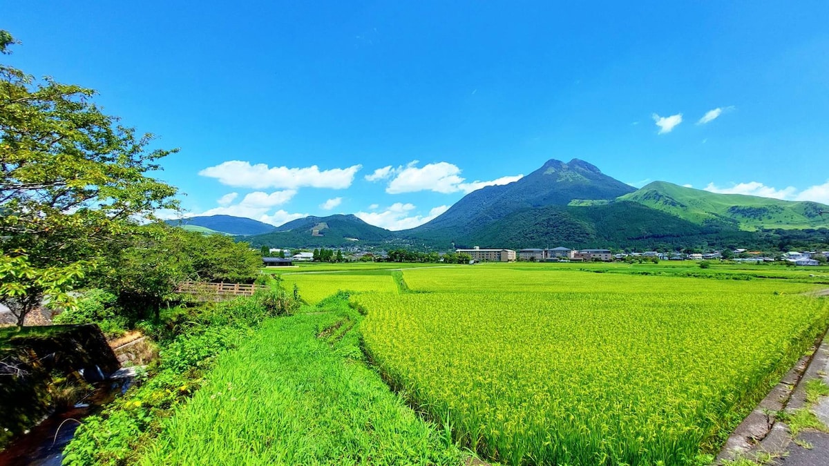 花景色【沈丁花】 一樓公寓房 露天溫泉  最多入住14人