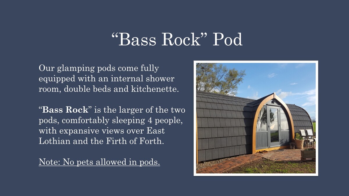 Bass Rock Pod -豪华加大双人床-海景