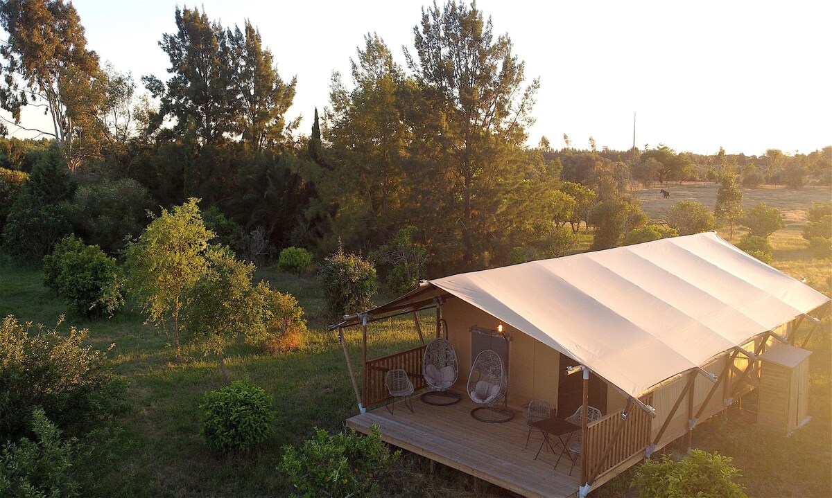 Tenda da Laranjeiras