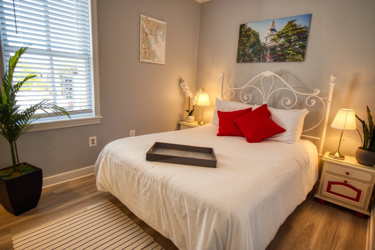 Stay right on Main Street Annapolis! Private room with Queen-sized bed and bath.